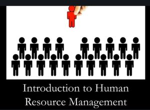 Learn Business Management Online Effectively And Efficiently