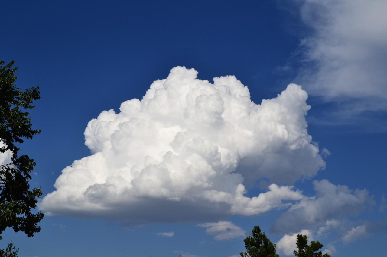 Tiledb Cloud