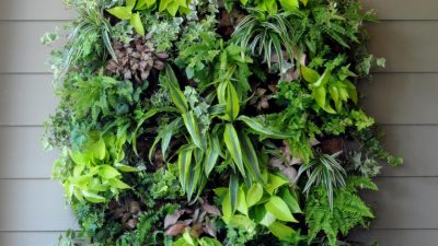 Kinsman Gardens An Exploration of Natural Harmony