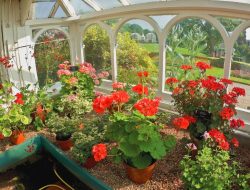 Botanical Gardens In Birmingham Explore Natures Beauty