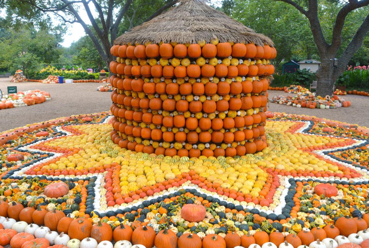 Dallas arboretum and botanical gardens
