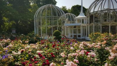 Birmingham Botanical Gardens An Oasis Of Natures Beauty
