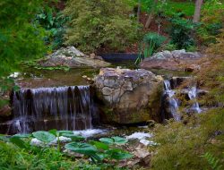 Dallas Arboretum Botanical Gardens Dallas Tx Explore Nature