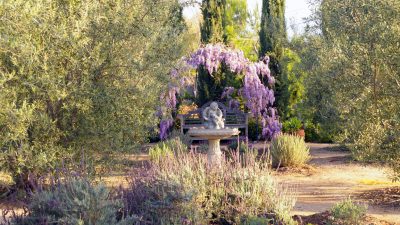 Arlington Gardens Pasadena A Serene Urban Retreat