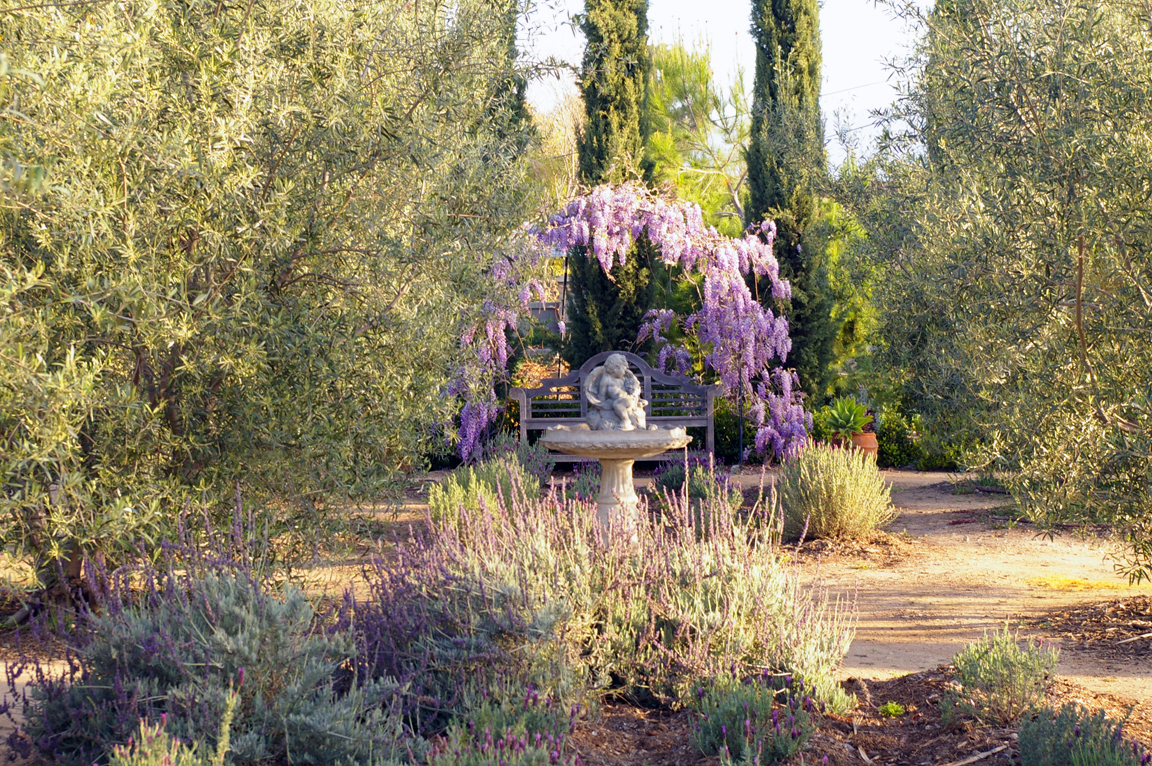 Pasadena's Arlington Garden - Harmony in the Garden