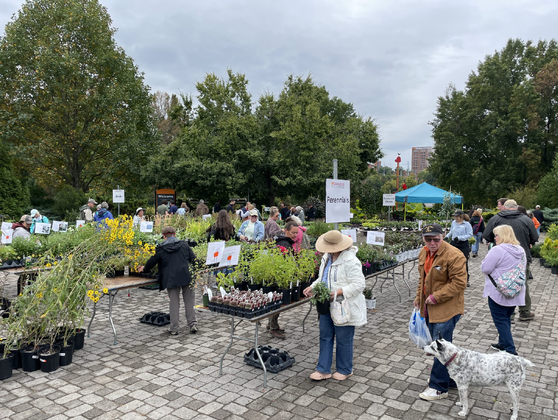 UT Gardens Knoxville Climbs to New Heights | Institute News