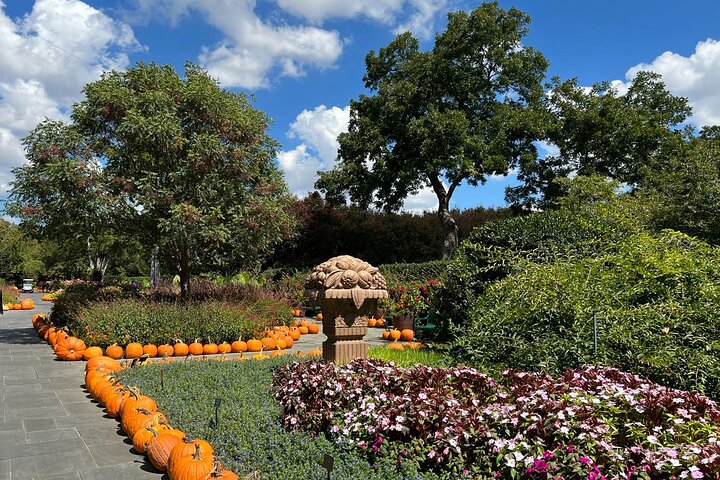 Botanical gardens dallas