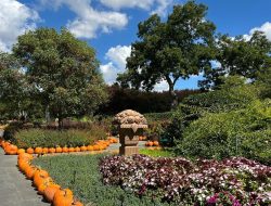 Botanical gardens dallas a haven for plant lovers