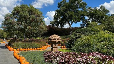 Botanical gardens dallas
