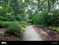 Birmingham Alabama Botanical Gardens A Green Oasis