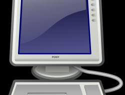 Computer Software Development Companies Shaping The Future