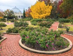 Birmingham Botanical Gardens England A Vibrant Escape