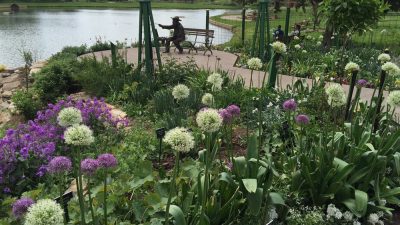 Overland Park Arboretum And Botanical Gardens Exploration